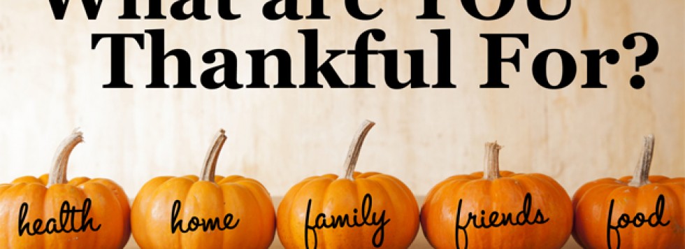 Happy Thanksgiving to All
